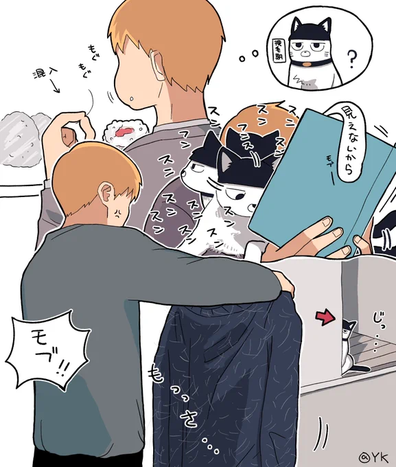 猫ちゃんあるある 