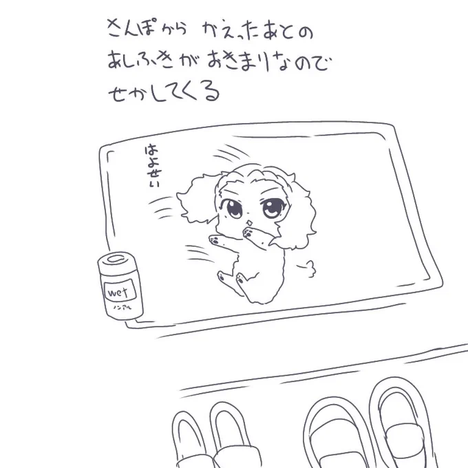 ざしきいぬ あるある 