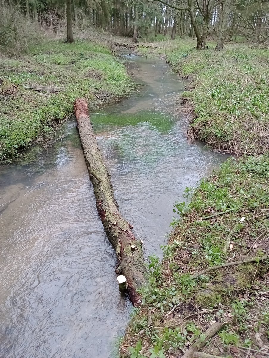 Slowing the flow and creating new habitat @EYRiversTrust @WildTroutTrust @NatFloodForum @YWT_North @slowtheflow_UK @SandTCUKYorks @WoldEcology