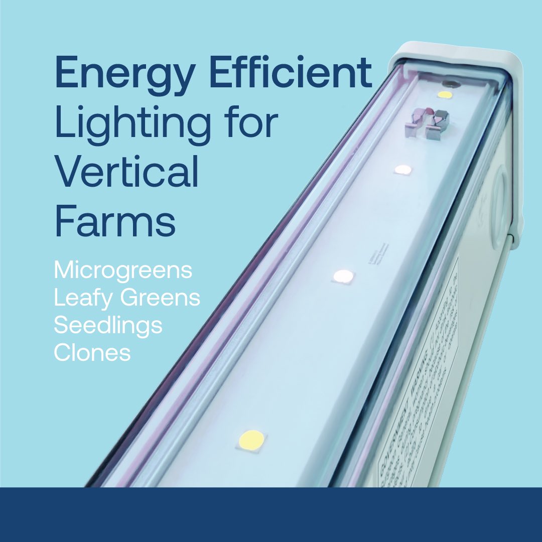 currenthort's tweet photo. Introducing Arize® Life²: the go-to lighting solution for indoor and vertical farmers worldwide. With tailored spectra for faster growth and higher profits, choose Current as your trusted lighting partner to succeed in indoor farming.

https://t.co/XUfjtwyrCa https://t.co/o8xBS1VPQ6
