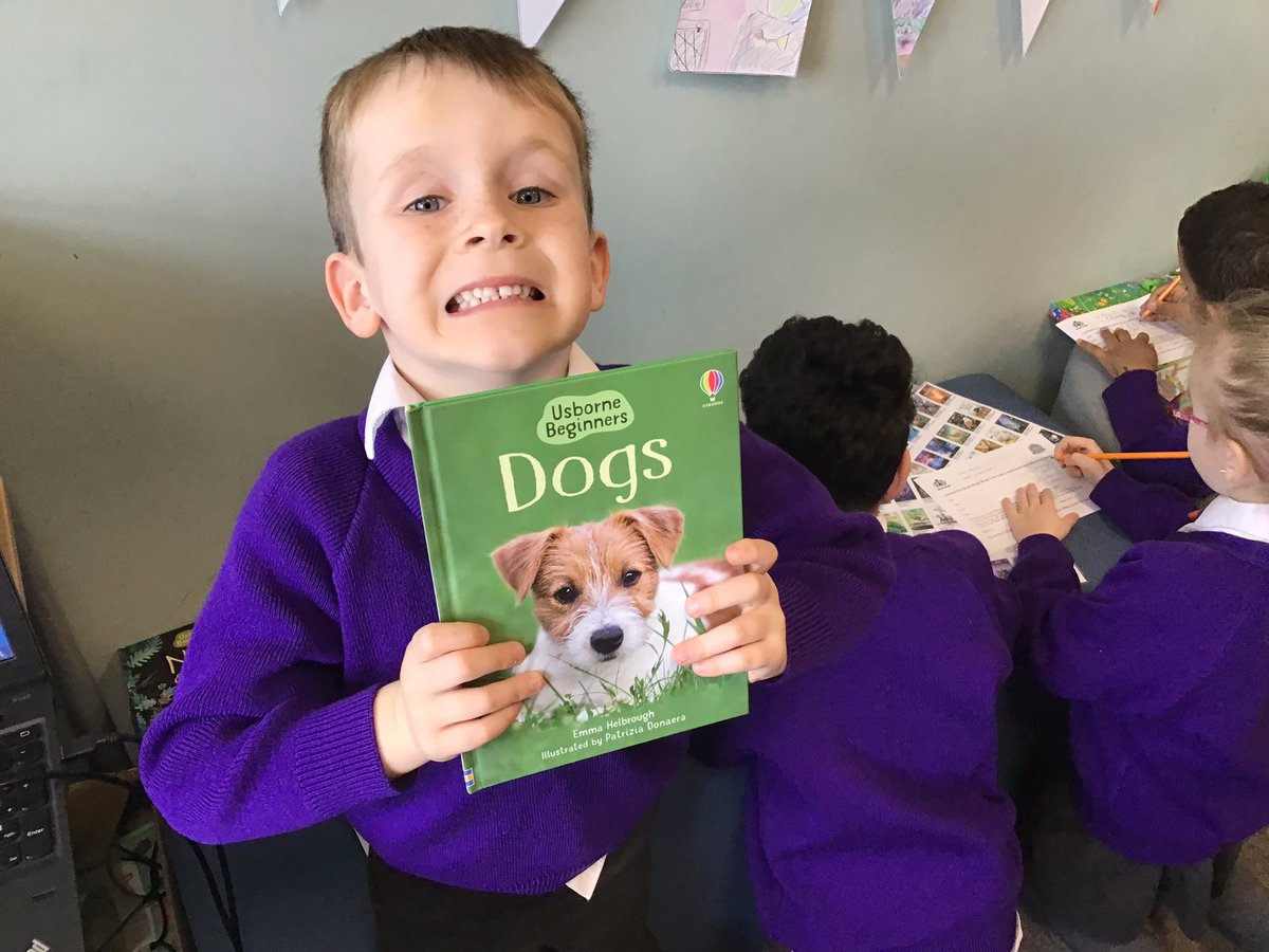 Tiger Primary School Library tweet media