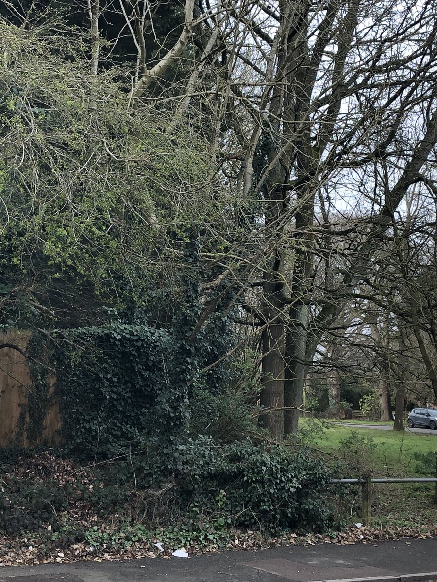 Chardonnaymyst1's tweet photo. #chardonnaysays…. Out doing daylight investigation work, stopped for brunch & boss lady nearly got us thrown out and barred from a cafe… 1st time for everything …🤦🏻♀️
@SlainSouth
#ukcatkiller
#ukanimalkiller
#anotheroneforthebook
#canttakeheranywhere https://t.co/8CcE2h2aBu