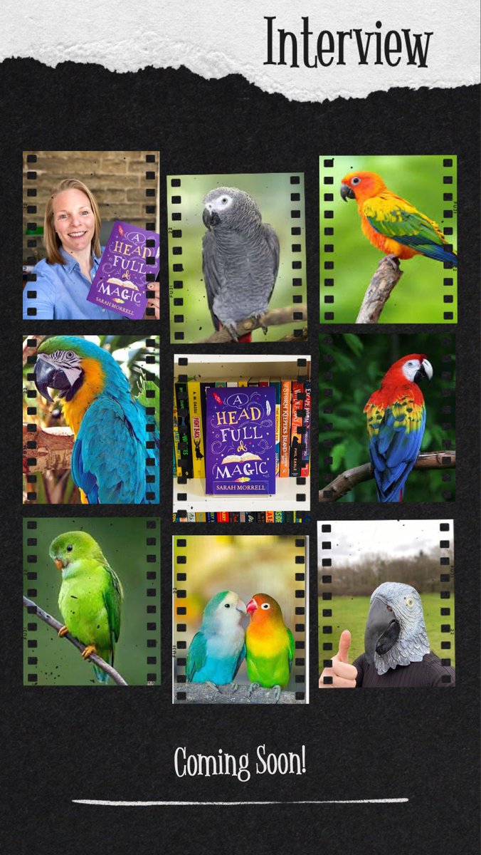 SMorrellAuthor's tweet photo. Super excited about a parroty interview I gave recently…watch this space for full details!! Eek!!🦜🦜🦜
#Exciting #Magazine #Interview #ComingSoon #Writing #Parrots #MyBook #MiddleGradeBooks #AHeadFullOfMagic #TalkingAnimals #Magic #Hexter #AuthorsJourney #AuthorsLife https://t.co/JVVaCmgDEq