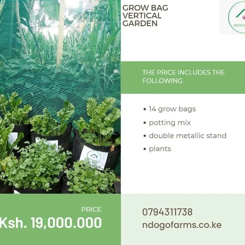 ndogofarm's tweet photo. The beauty about this gardening systems, is that they are made of eco friendly material that is strong and has longer longevity. They are easy to use and have air pruning properties that enhances faster growth of plants #smallspacefarming
#urbangardening https://t.co/B9gSesPuoW