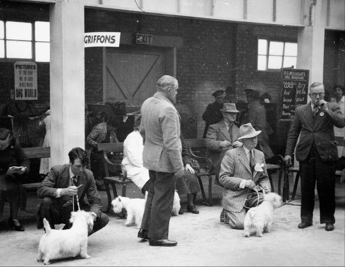 Archives+ on Twitter "RT ManCityCouncil On this day in 1951, the