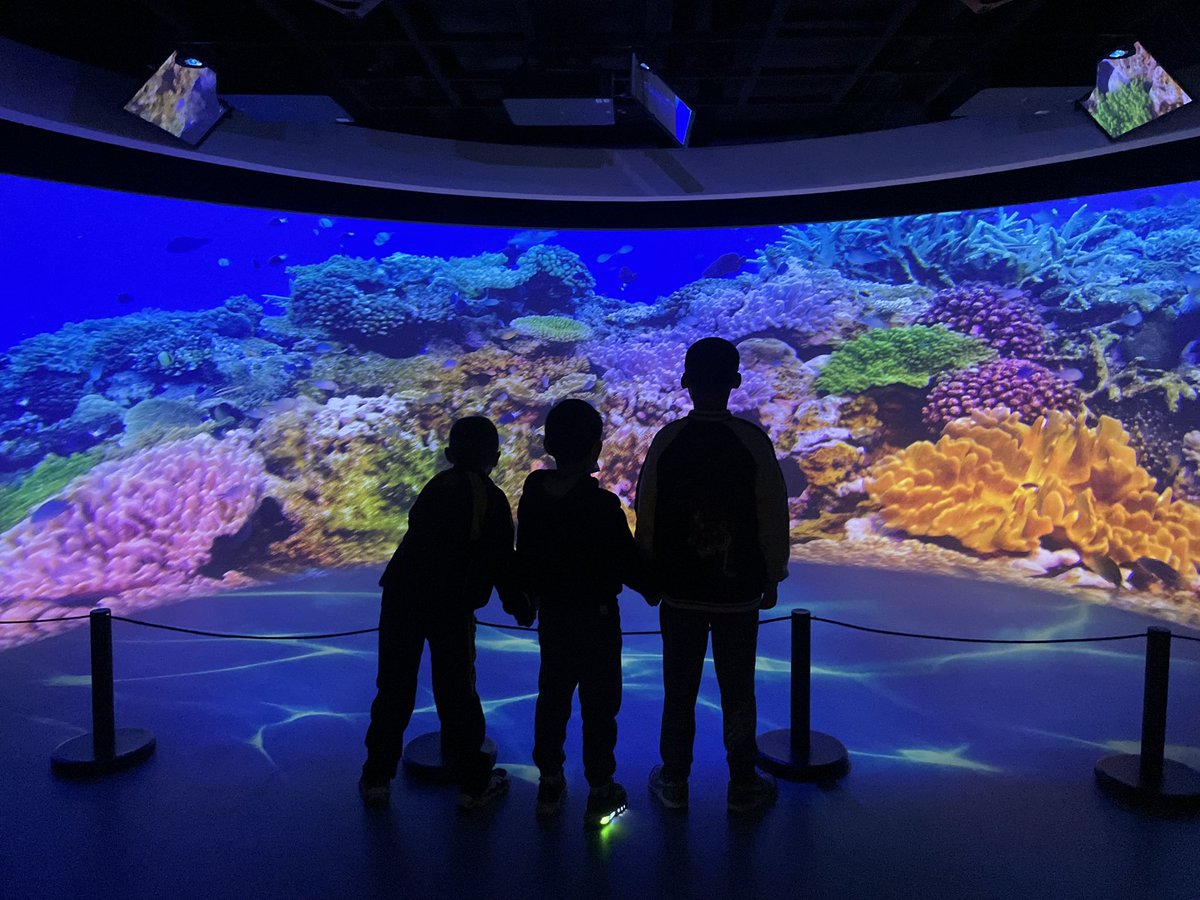 Stephen Taylor On Twitter RT ElizabethSames Another Milestone For stephen-taylor-on-twitter-rt-elizabethsames-another-milestone-for