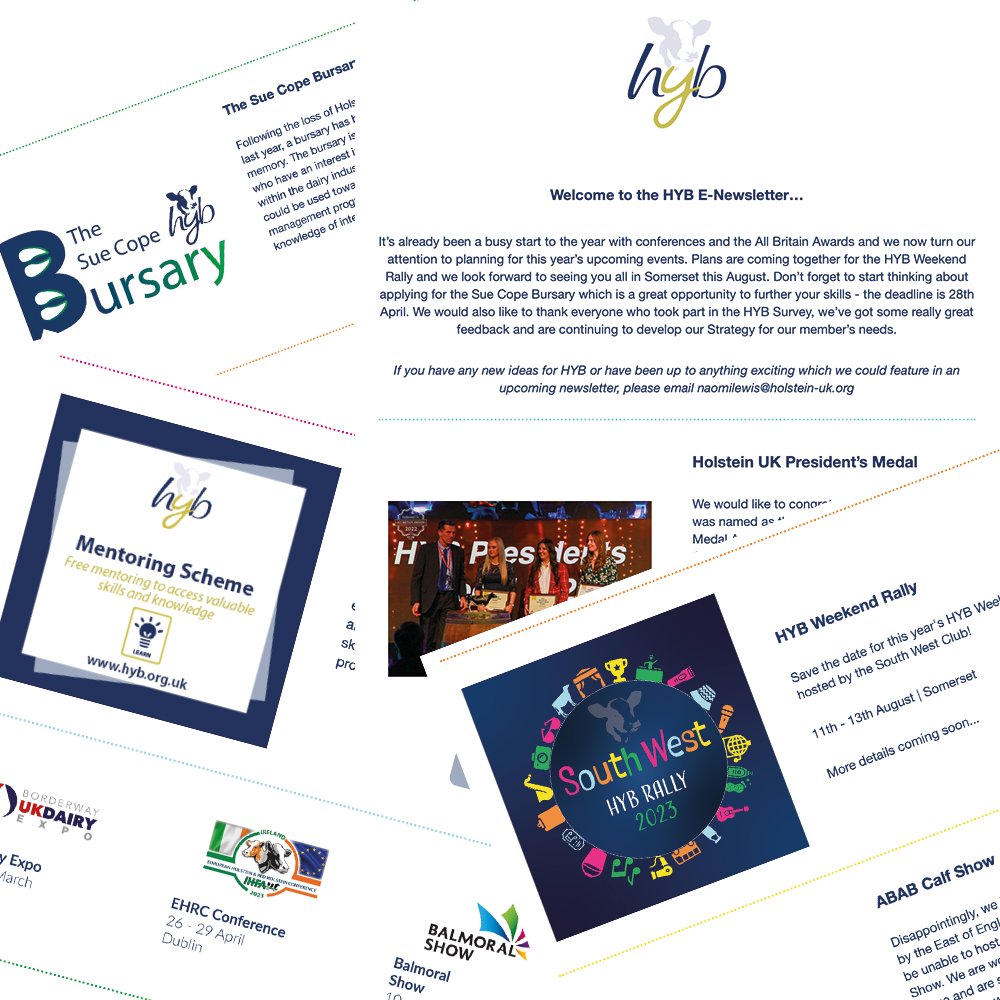 Holstein Young Breeders tweet media