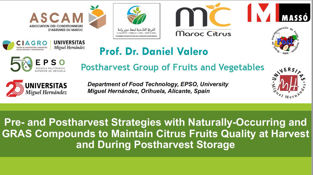 DanielValero64's tweet photo. Viajando a Marruecos. Conferencias sobre la panorámica de los factores pre- y postcosecha. Se van a presentar resultados del ensayo con glicina betaine para la empresa @masoagro @UniversidadMH @CIAGRO_UMH @EPSO_UMH https://t.co/v6bQdO3X7O