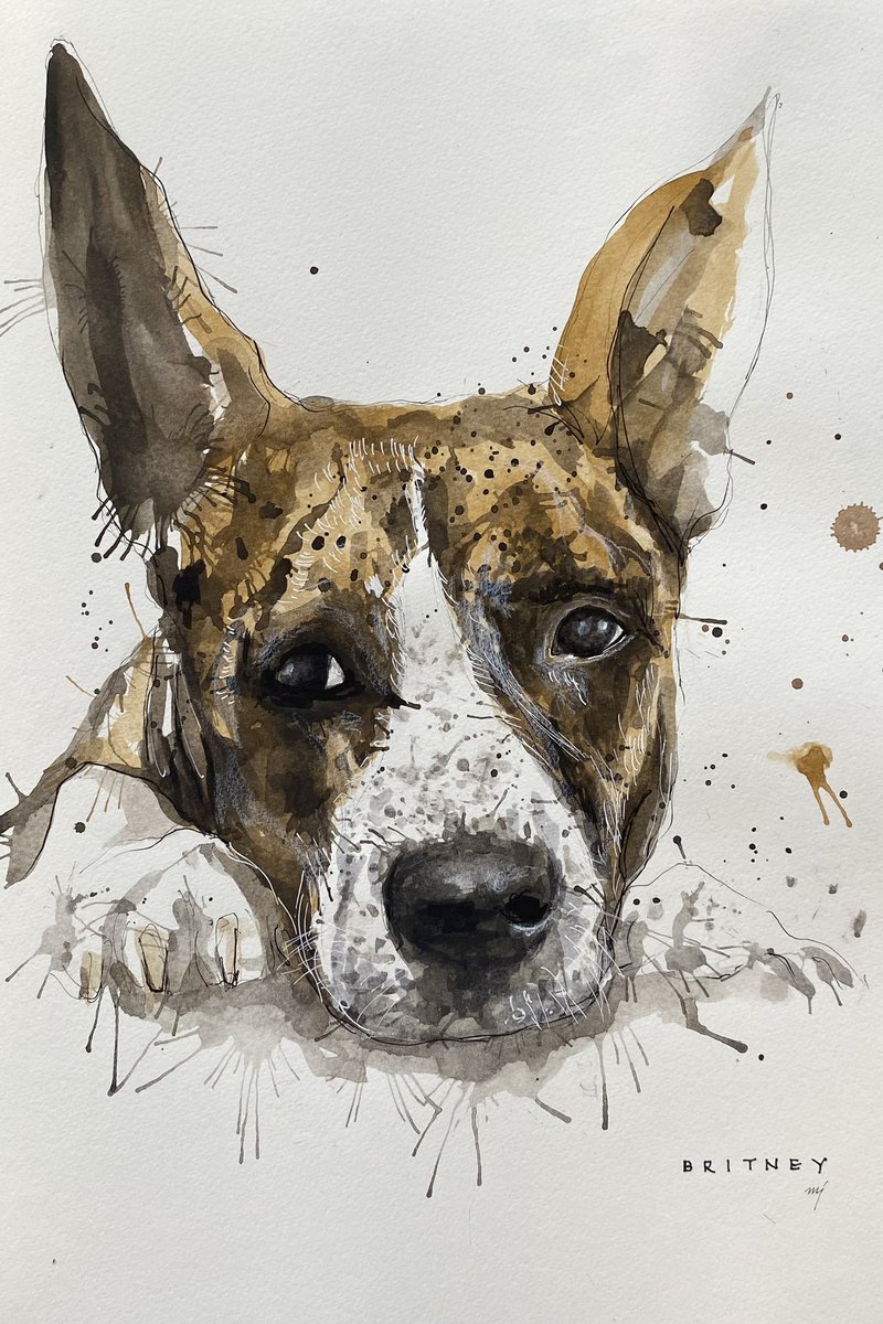 Britney 
<a href="/NiallHarbison/">Niall Harbison</a> 

#dogart #dogoftwitter #dogportrait 
Instagram @chellejung_draw