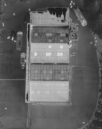 WYP Eye Above tweet media