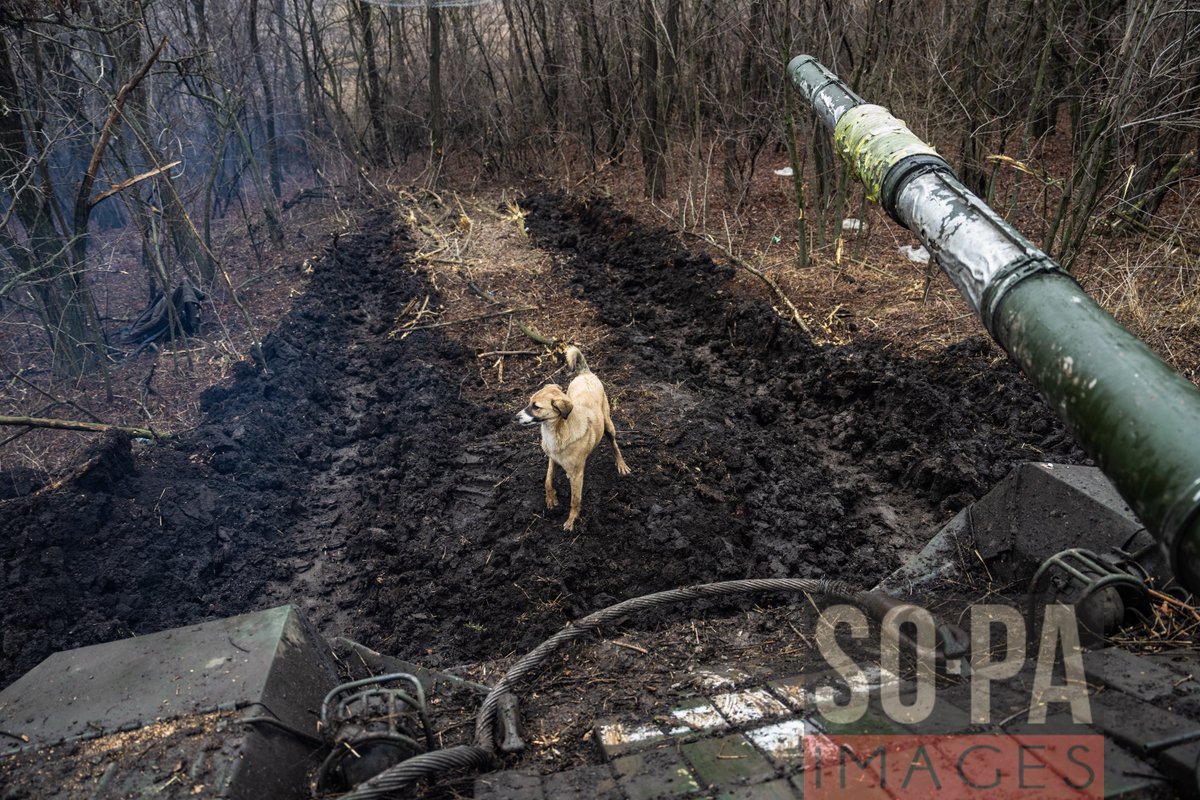 sopaimages's tweet photo. #Fighting has #intensified in the #Donbas region of Ukraine as #Russian and Ukrainian forces engage in a #fiercefight for the key city of #Bakhmut, #Ukraine on March 7, 2023. 📷 Laurel Chor for SOPA Images https://t.co/2f1sDN0WAG