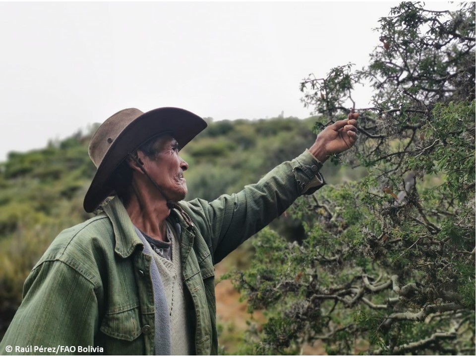 FAOBolivia's tweet photo. 🙌🏽Celebramos y agradecemos la decisión del Fondo Verde del Clima @theGCF de aprobar la financiación de un proyecto de Bolivia 🇧🇴 presentado por @FAO

Los recursos serán invertidos en la lucha contra la sequía y otros fenómenos provocados por el #CambioClimático ✅ https://t.co/915QmL9kUE