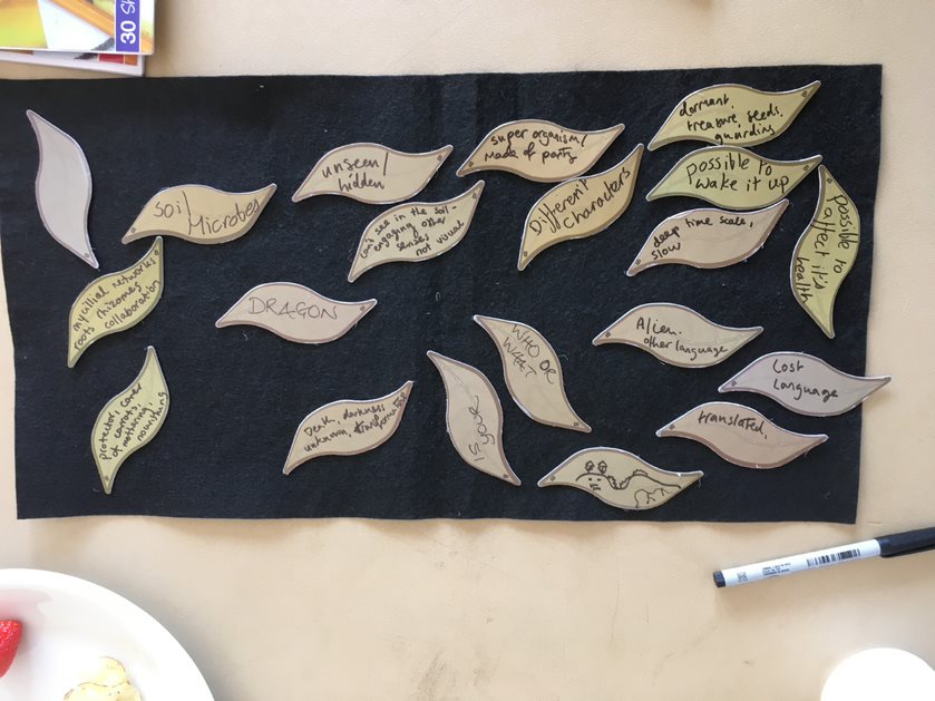 We want to shout out to the brilliant #NorthDevon community participants who helped shape new storytelling show Earth, Water, Fire! 
They brought so much thought and insight to this project for which we’re very grateful. Thank you! beaford.org/events