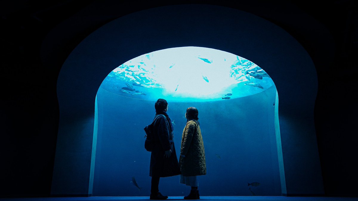 ChannelYuny's tweet photo. やっぱり水族館って癒しの場所。
ぼーっとできる空間で良いよね！

#四国水族館 https://t.co/7hvu2bHgUw