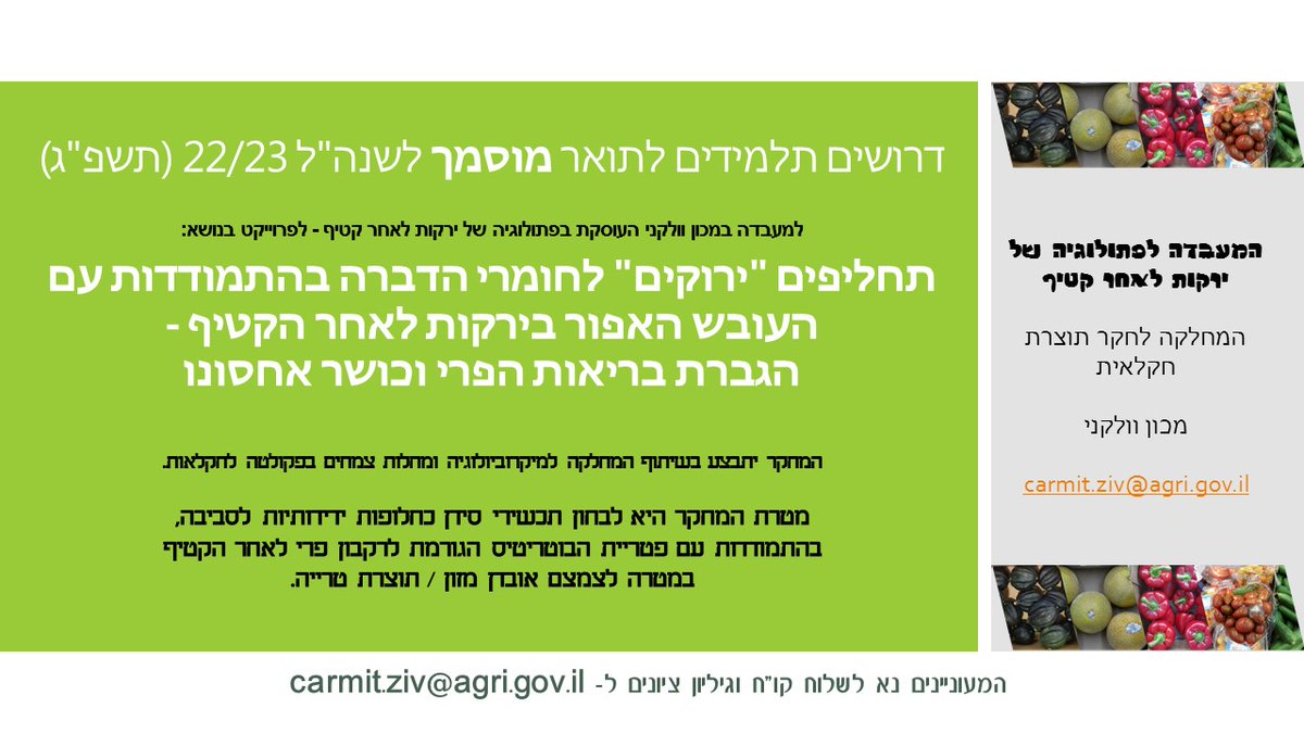 Ziv Lab - Postharvest Pathology (@zivlab) on Twitter photo 