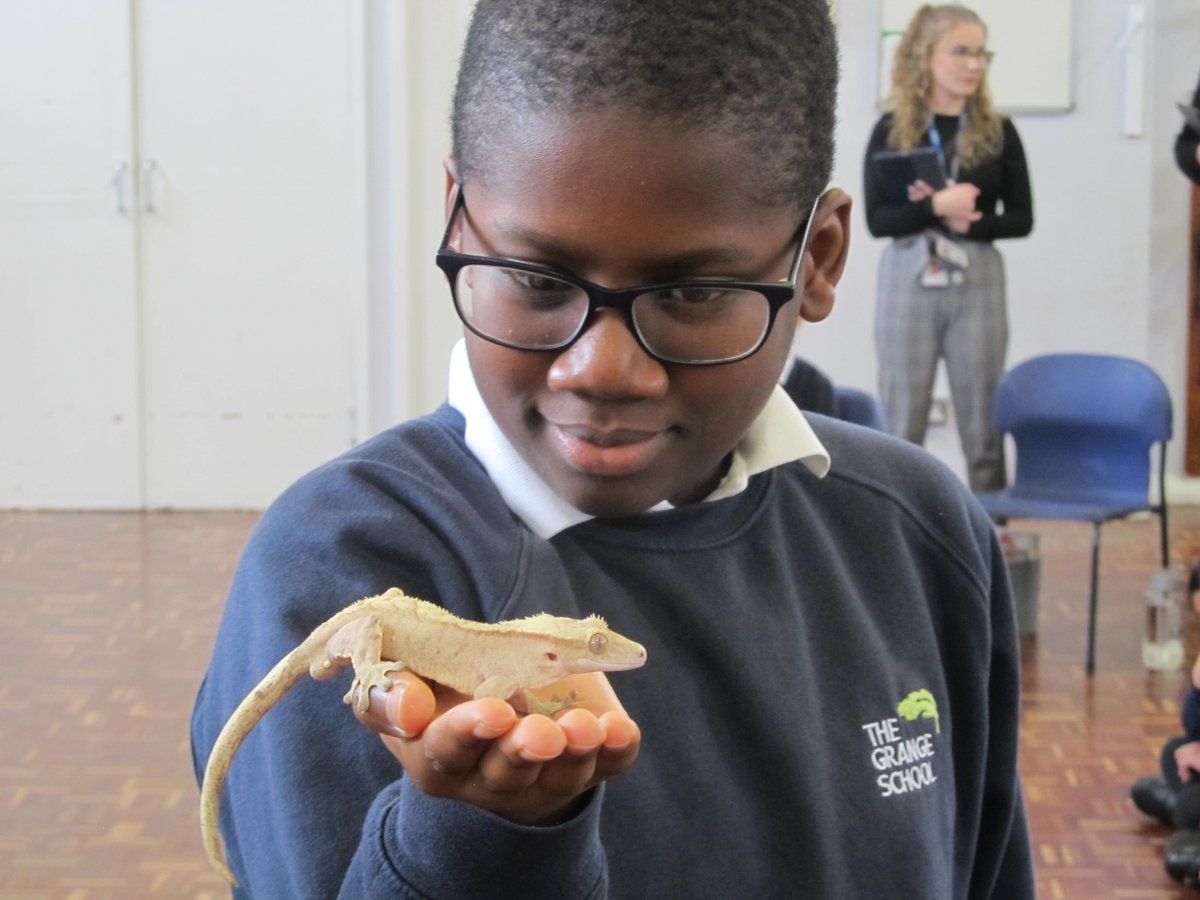 Years 2, 4 &amp; 6 have been getting up close to some very unusual creatures.