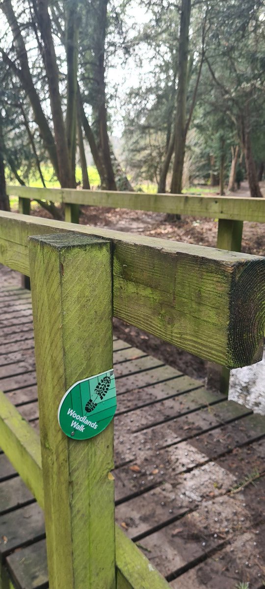 We're out doing some filming today for a very exciting project with @EssexMusicHub - The Musical World of the Woodlands - which will culminate in hundreds of outdoor concerts across the county!

#Byrd400