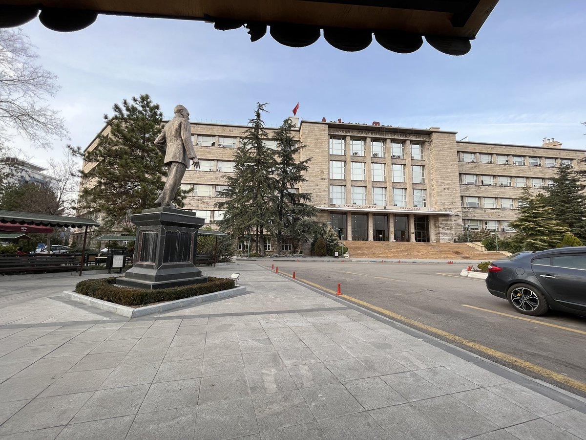 Bir reddit kullanıcısı yapay zeka ile türkiyedeki tıp fakültesi öğrencilerinin güzellik algısına göre bir model oluşturdu