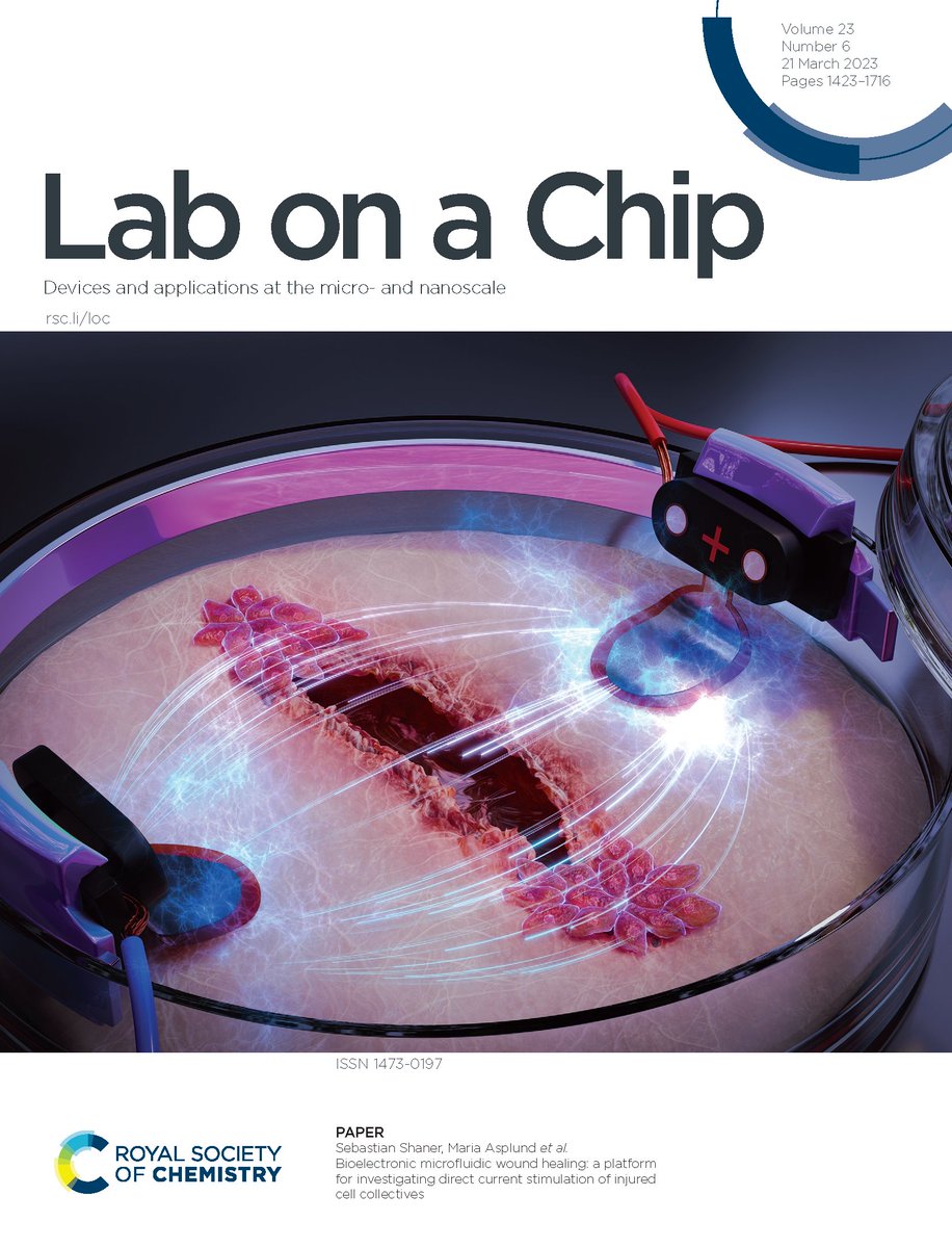 LabonaChip's tweet photo. #Bioelectronic microfluidic wound healing: a platform for investigating direct current stimulation of injured #cell collectives
#OpenAccess from Sebastian Shaner & Maria Asplund et al. @UniFreiburg #IMTEK
🔗 https://t.co/TDiaT3uhuc https://t.co/8gC42RUQHm