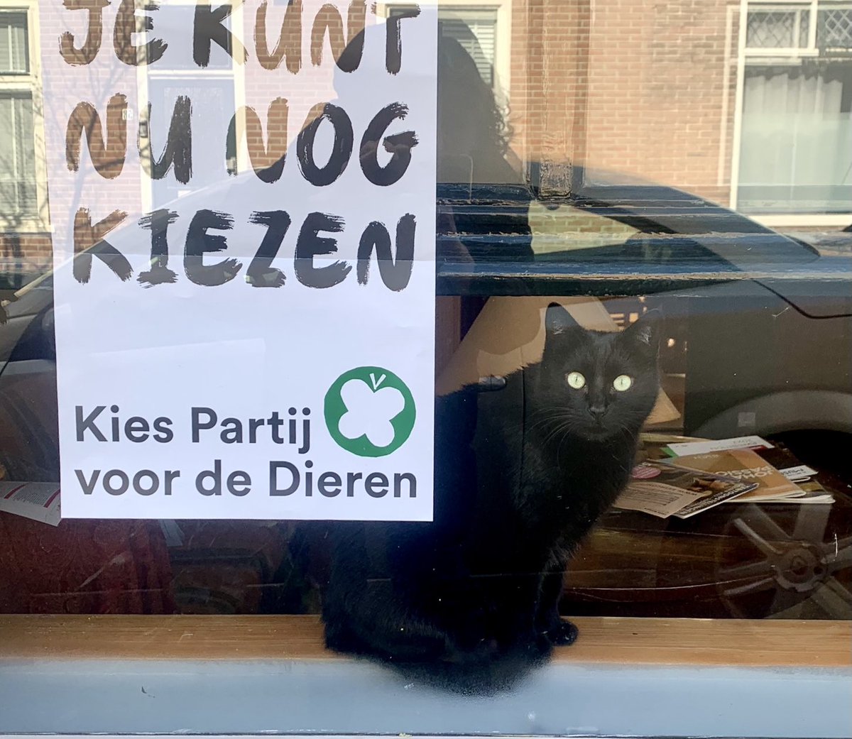 Dit!