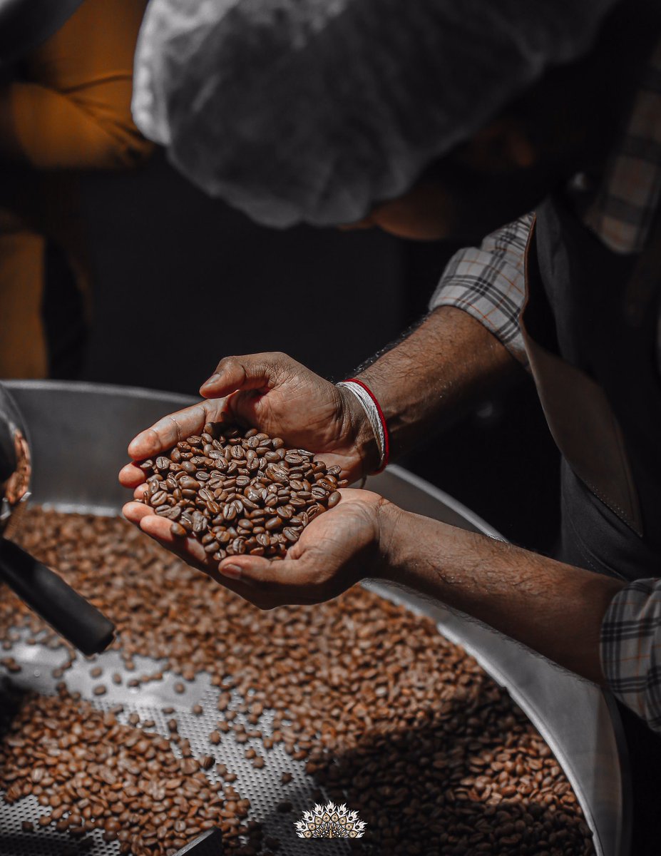 dfc_roasters's tweet image. Grown in the cloud wrapped high mountains of Sri Lanka. Damn Fine Coffee is made with the finest high-grown Arabica Coffee beans in the Island. Our first series of coffee captures the beautiful flavors of Kotmale.

@dfcroasters 🦚

#coffee #dfcroasters .#ceyloncoffee #specialty