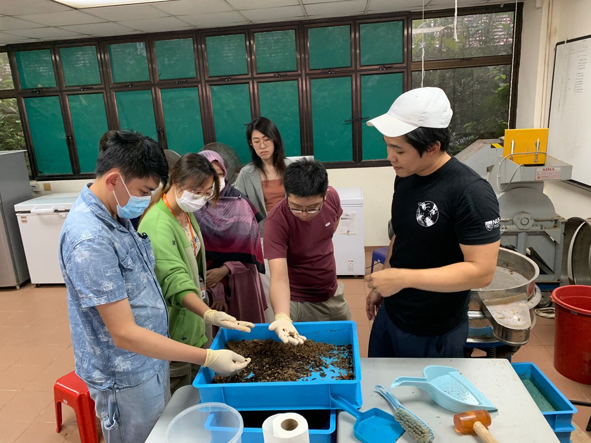 Maxine Mowe (@maxinemowe) on Twitter photo Thank you <a href="/Nalini_DrP/">Nalini Puniamoorthy</a> for giving such an informative guest lecture about #blacksoldierflies and how we can convert our #foodwaste to fertilizer and feed! The tour of the #bsf facility was very interesting and my students definitely enjoyed it! #bl5313 Thank you <a href="/Nalini_DrP/">Nalini Puniamoorthy</a> for giving such an informative guest lecture about #blacksoldierflies and how we can convert our #foodwaste to fertilizer and feed! The tour of the #bsf facility was very interesting and my students definitely enjoyed it! #bl5313