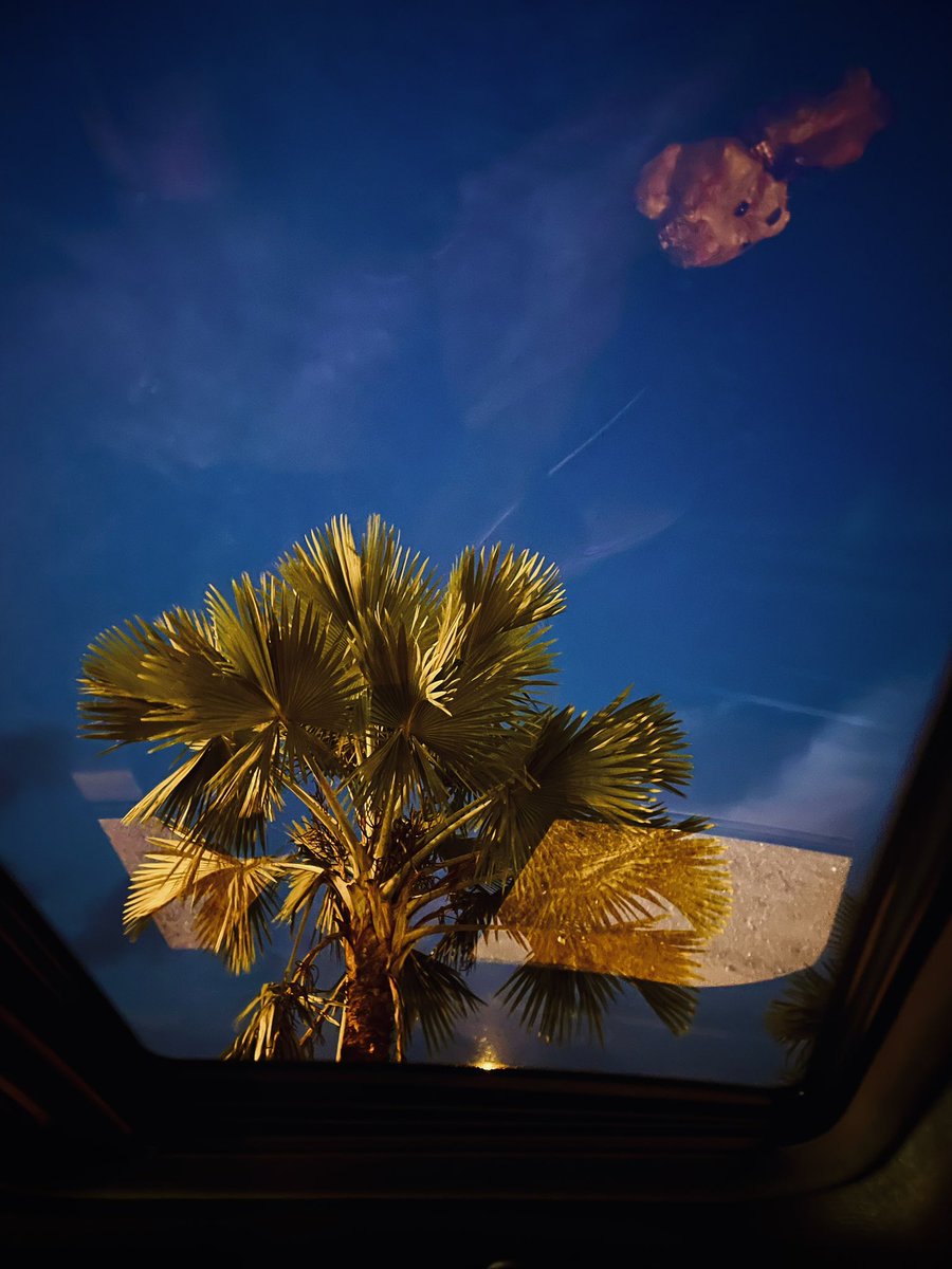 Clear sky this evening. No rain 💃🏻