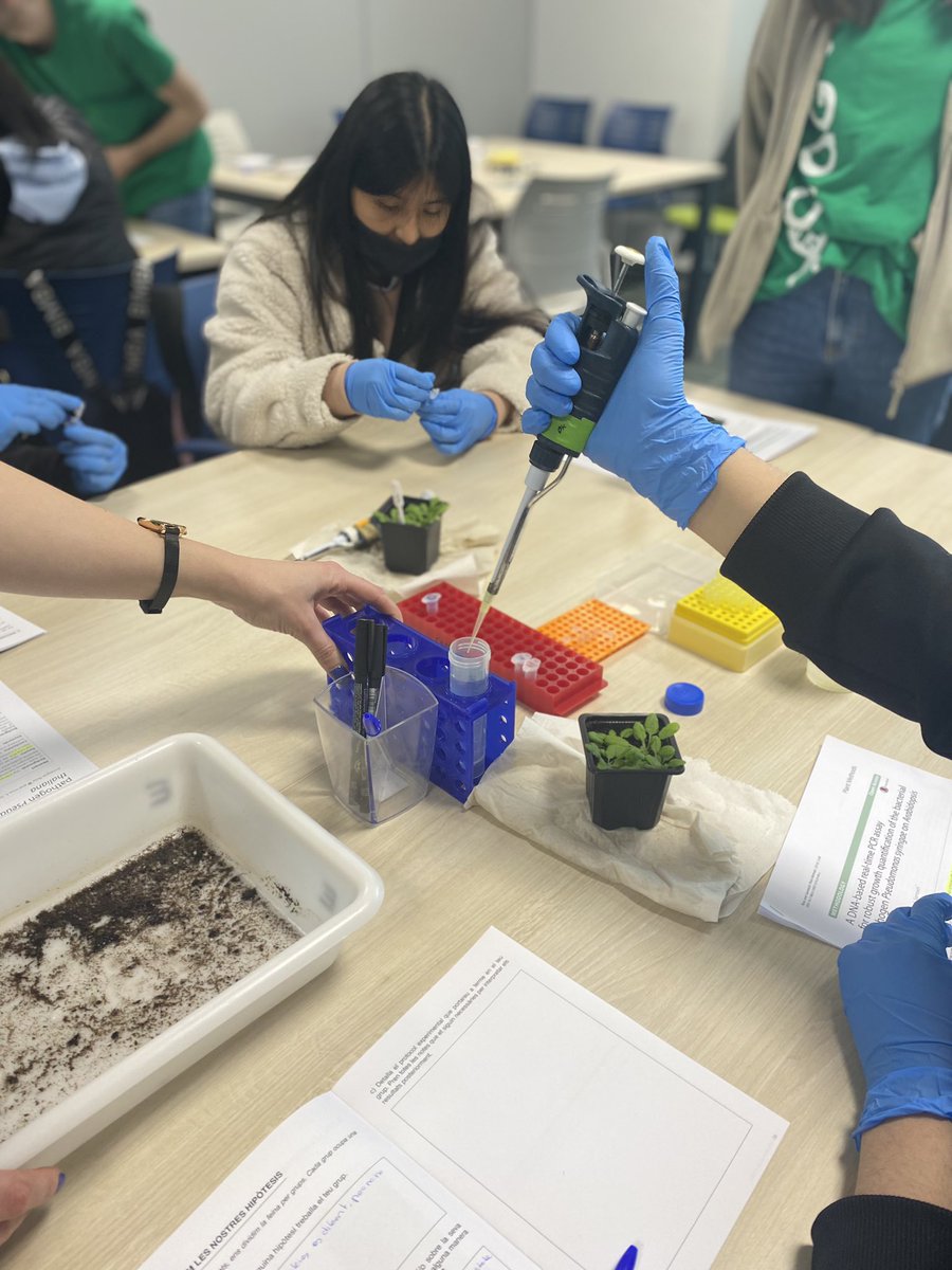 insmtarradell's tweet photo. 🌱L'alumnat de 1r de Batxillerat científic ha visitat les instal·lacions del @CRAGENOMICA, on han participat en el taller experimental "La DefeNsA de les plantes".
Ens ha agradat moltíssim, gràcies!
#instarradell #batxillerattarradell #batxilleratcientífic https://t.co/hiAS5y8Edk