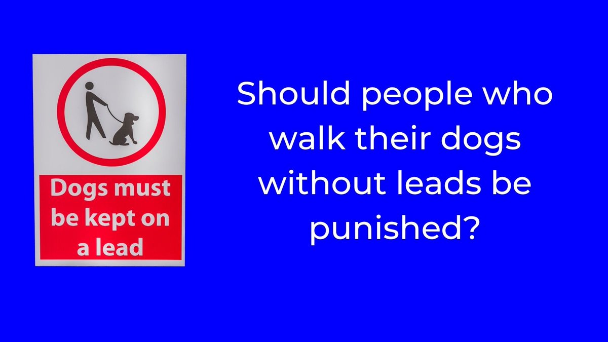 BirminghamWorldUK on Twitter "The prime minister was spotted in Hyde Park with his dog Nova, he