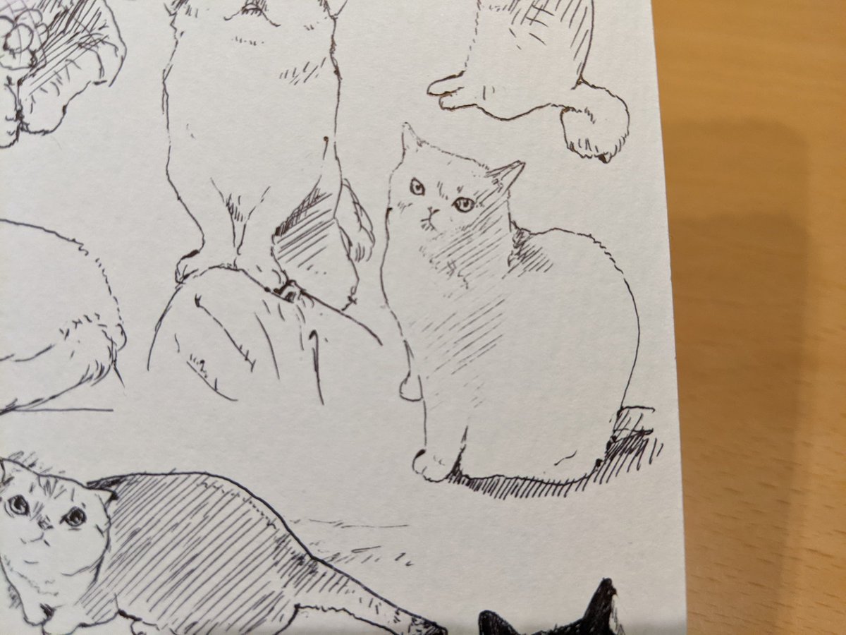 隙間を埋める カキカキ。 