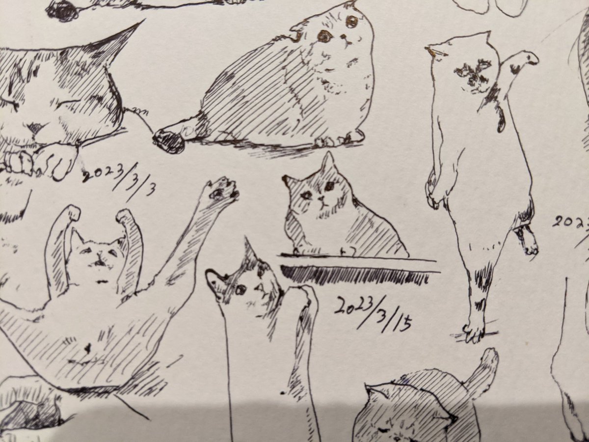 隙間を埋める カキカキ。 