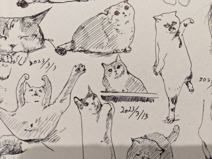 隙間を埋める カキカキ。 