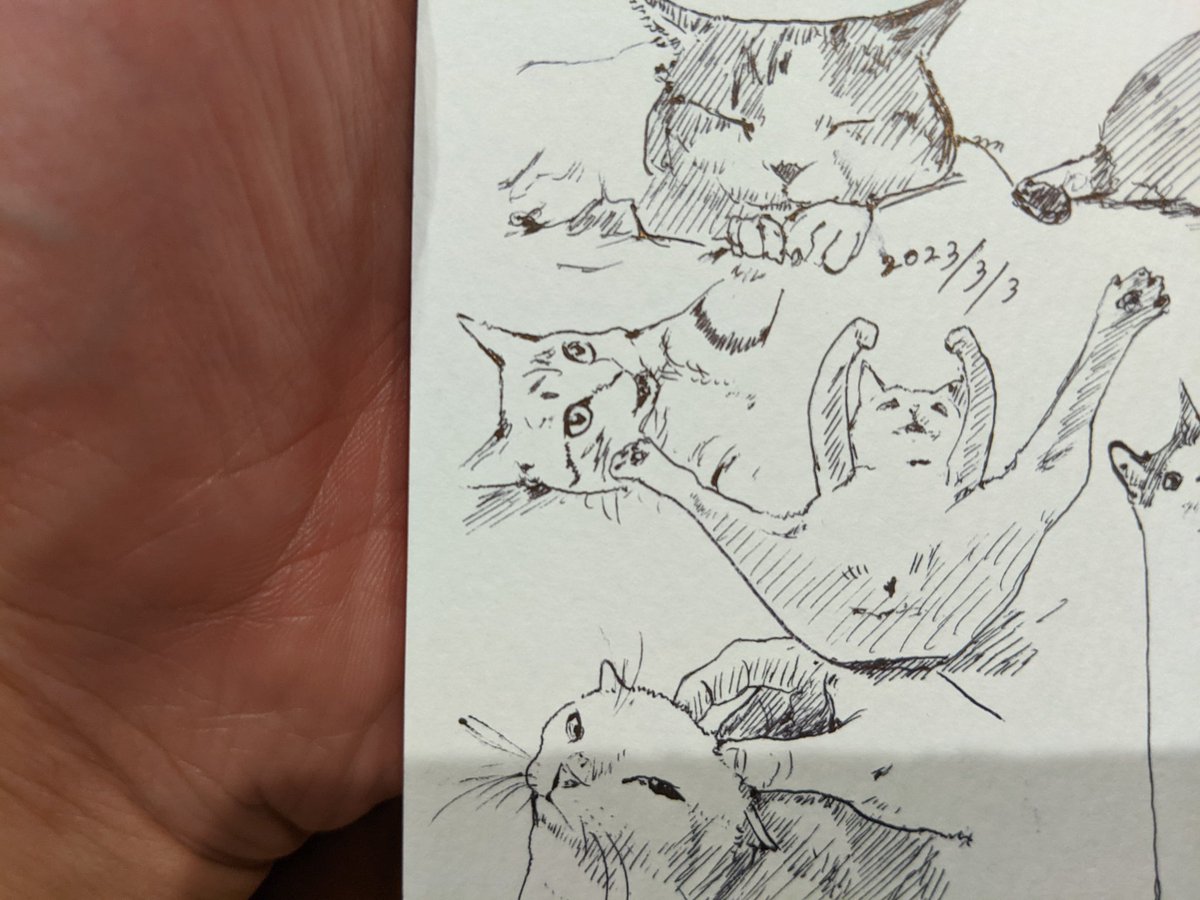 隙間を埋める カキカキ。 