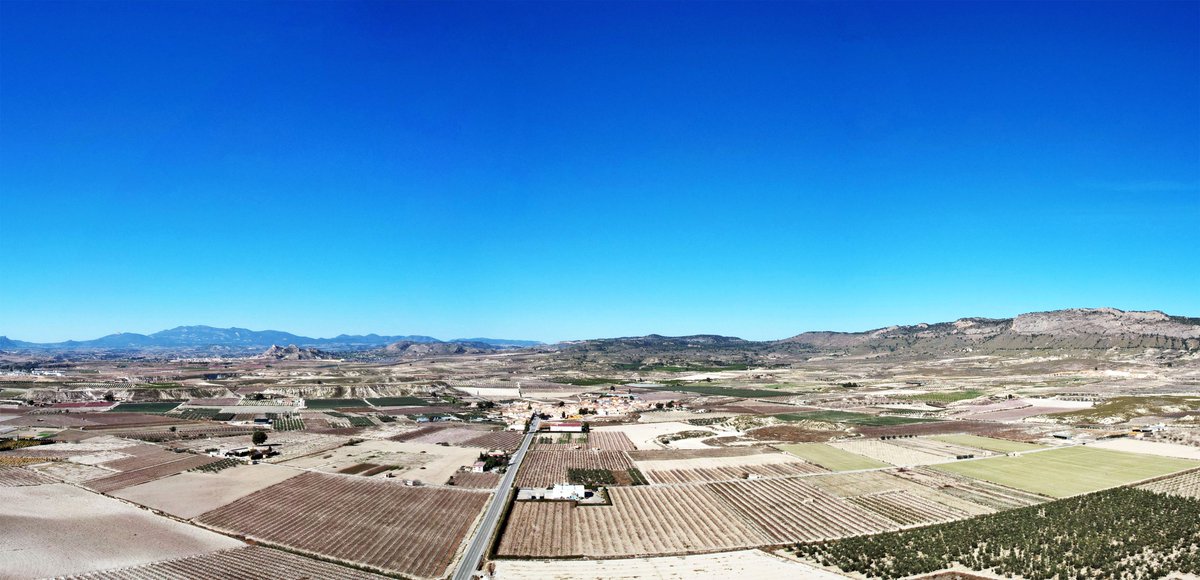 miglucas305's tweet photo. Sobrevolamos la #floración de #Yechar en #Mula #RegiondeMurcia en este día de #Marzo2023 con sol y #cielosazules. @la7tele @La7Noticias @Isabelscribano @jacobpetrus_tve @ElTiempoA3 @ElTiempo_tve @tiempobrasero @SomosMeteo @MeteoChatSE @MeteOrihuela @bbcweather @METEOMULA https://t.co/2jQlJfiTtn