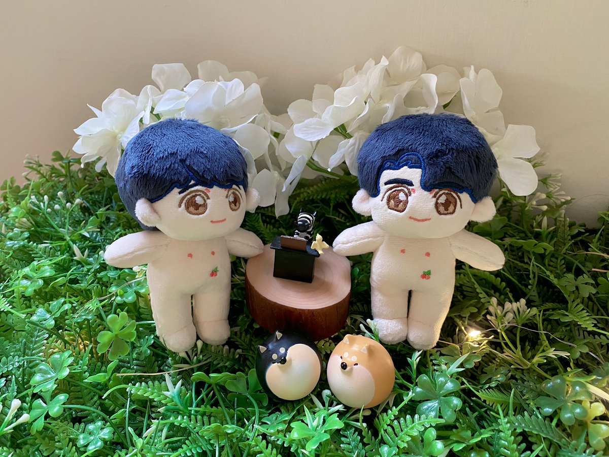 SAMESHIBACHAN's tweet photo. 之前做的一對可愛寶寶～謝謝娃媽的委託喲！也歡迎大家來返圖！🥰看到寶寶們在外面的世界充滿活力地跑跳、到處玩～我們也很開心噠！
—————————————————
 ⚜  │  鯊柴醬WORKSHOP  │  ⚜
—————————————————
#10cm棉花娃 #客製娃 #手作棉花娃 #인형 #ぬいぐるみ #cottondoll #台灣娃 #曬棉花 #ぬい写真 https://t.co/7bEGeTAOkP
