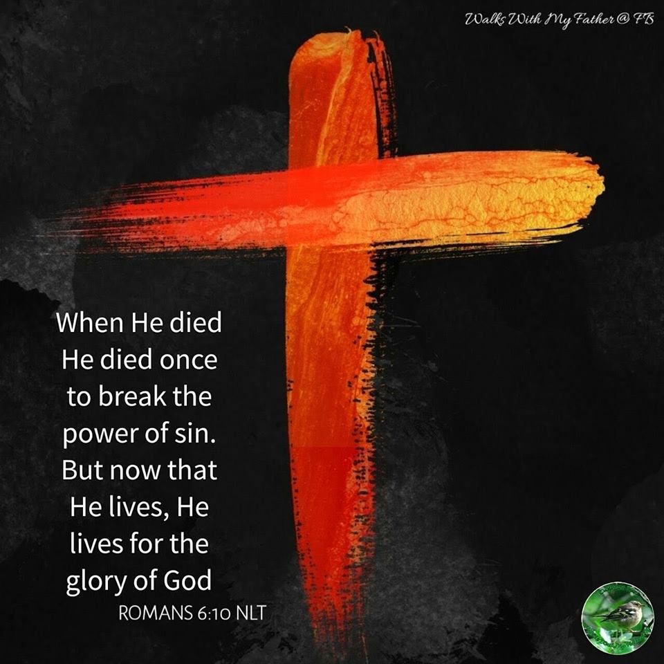 SunitaHines's tweet image. #PrayerofSalvation❤️🧡
Dear Lord Jesus
I admit that I'm a sinner.
I repent and ask for your forgiveness.
I believe you died for my sins and rose from the dead.
I want to start anew.
I invite you to come into my heart as my Lord &amp;amp; Savior
Fill me with your Holy Spirit
#Amen