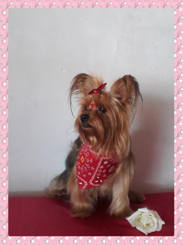 Jullyloovy's tweet photo. Estou linda? 🫶 https://t.co/wOTD6hQAvI