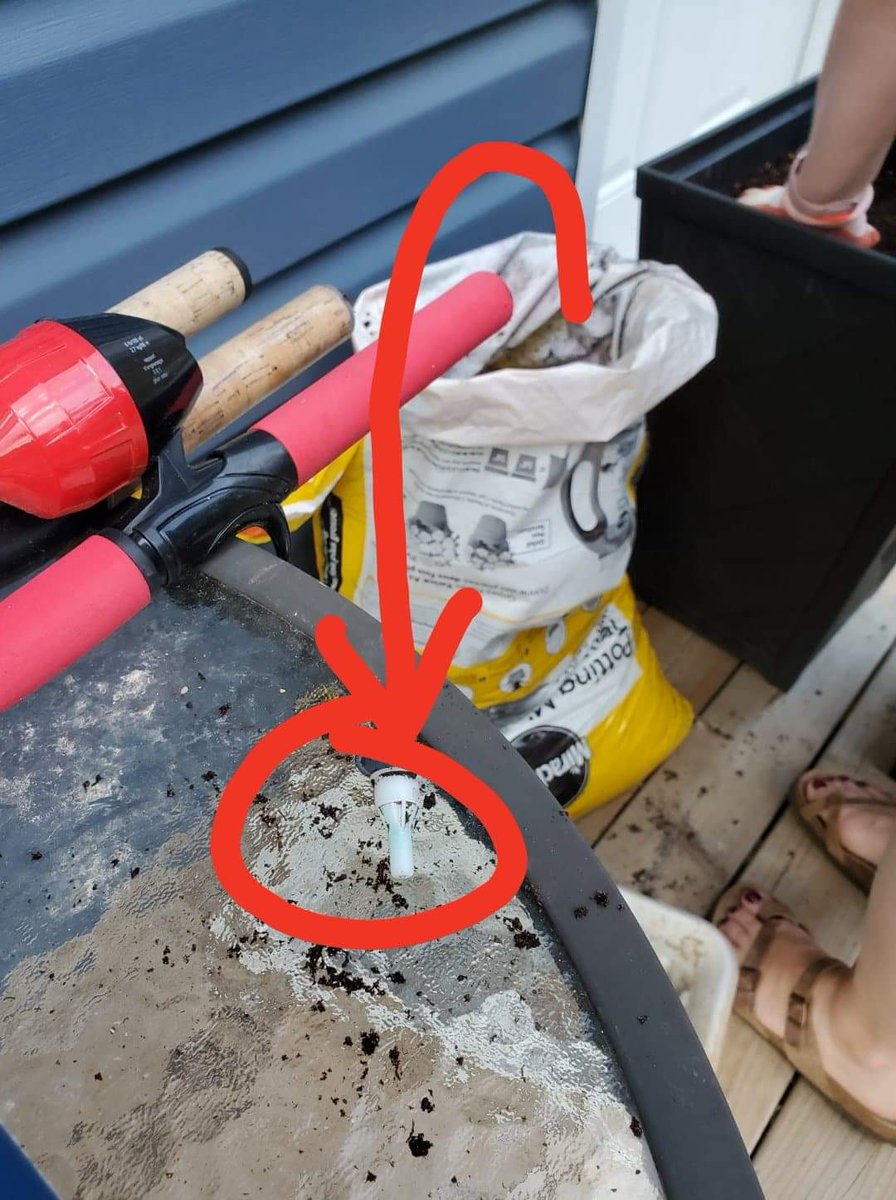 Nick Spacek 🇺🇦 tweet media