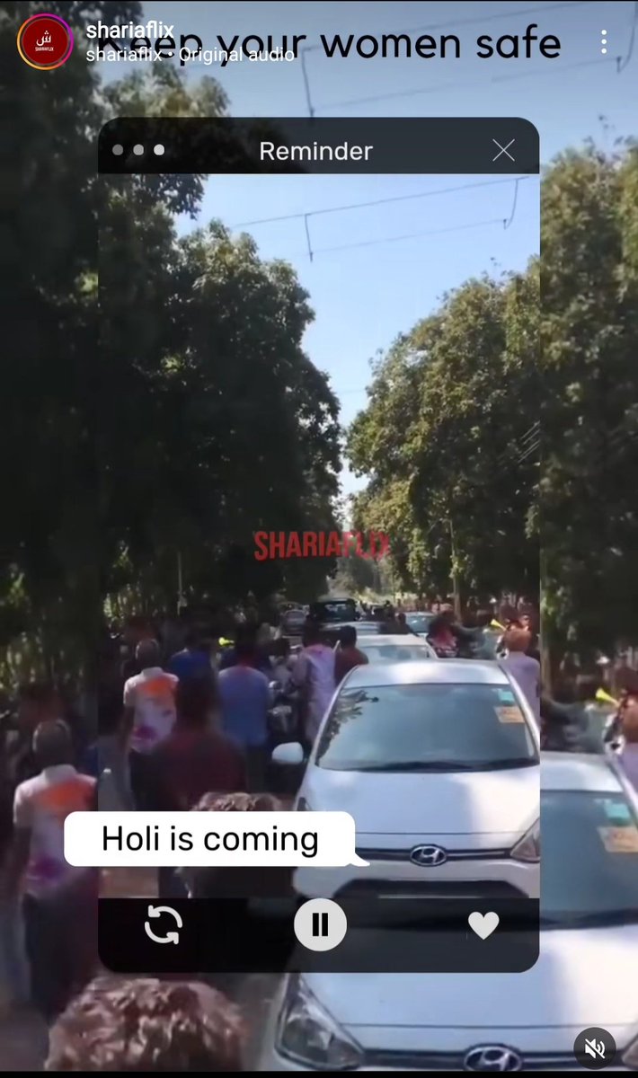 Islamophobia1_'s tweet photo. This is SHARIAFLIX on Instagram claiming India is for Muslims only. During the holi festival this page threatened hindu girls &amp; advised to keep them safe. This page only insults Hinduism with their vulgar minds &amp; J!hadi Mindset..Please report to @InstagramComms @SarahLGates1 https://t.co/idg8EaVKbq