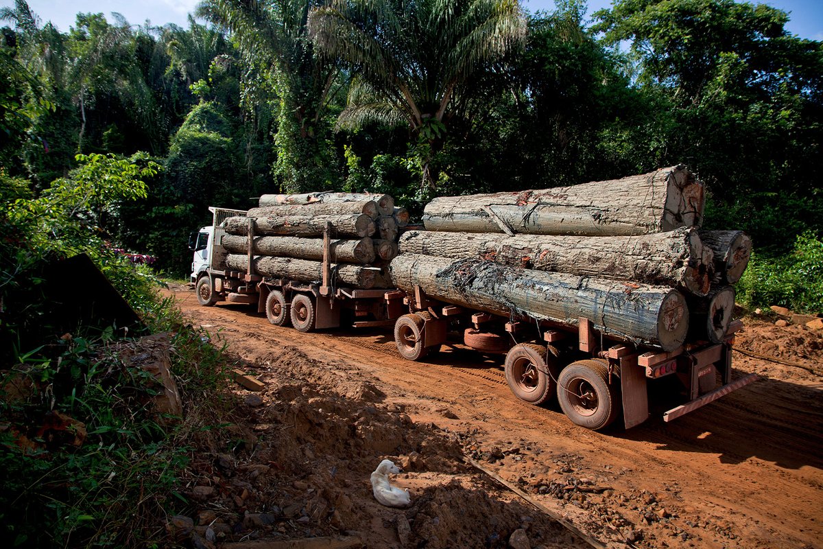 mongabay's tweet image. A new study supports mounting evidence that deforestation in the Amazon Rainforest correlates with regional rainfall reduction. Environmentalists see an opportunity to reshape conservation activism and policy towards local communities, reports @BrSarahTr.
news.mongabay.com/2023/03/make-i…