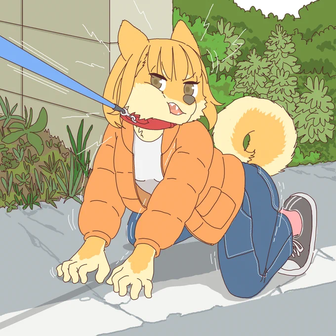もう少し匂いを嗅ぎたい時の犬 