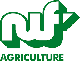 Holstein Young Breeders tweet media