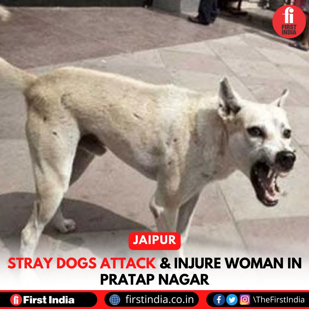#Jaipur | A 44-year-old woman was injured after two stray dogs attacked her inside a gated community in Pratap Nagar on Sunday. An FIR in the case was registered at the Pratap Nagar police station on Monday. 

#Rajasthan #StrayDog #StrayDogAttack #DogAttack #NewsAlert #FIJaipur