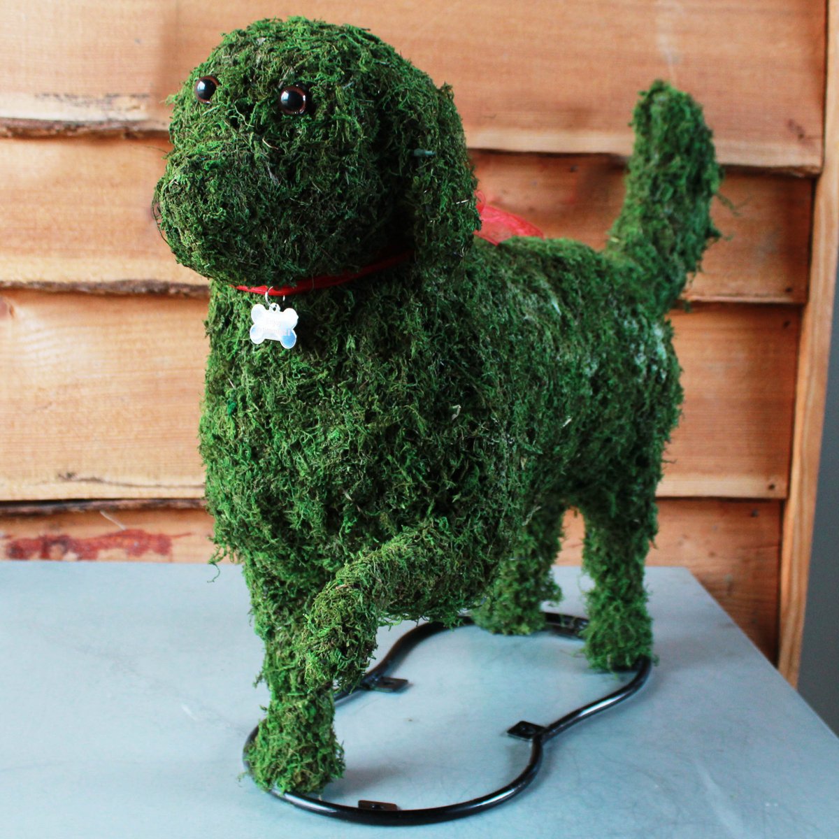 toptopiary's tweet photo. We have a bespoke service for any designs that you'd like, so get in touch if you have any custom requests.
One such customer asked for a dog in a 'paw up' pose, as a retirement gift.

#retirementgift #bespoketopiary #topiarydog #dogtopiary #handmadetopiary  #greenfingered https://t.co/QYdUoi0zSh