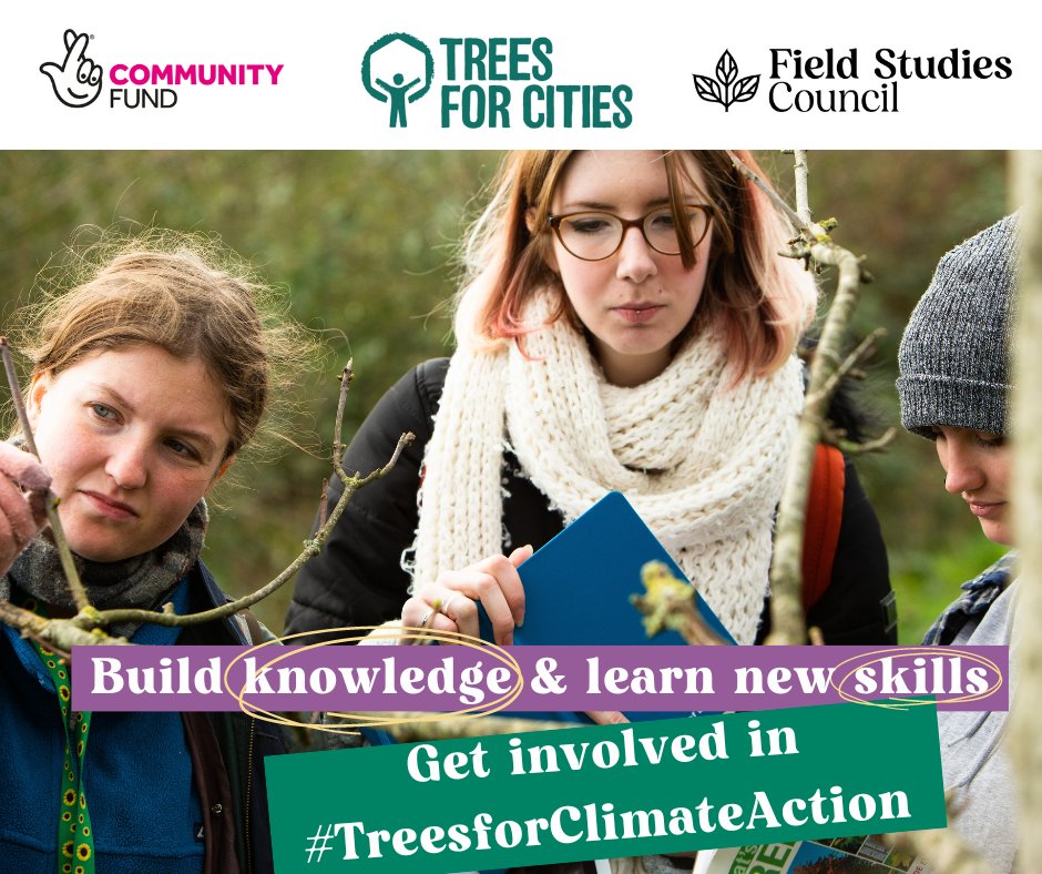 GlasgowCC's tweet photo. Are you aged 12-30 and want to learn more about Glasgow’s trees? 🌳
Register for free tree guides from @FieldStudiesC exclusive for our community.
👉 https://t.co/phToY8HXOo
#TreesForClimateAction https://t.co/RwOX8MmKNS