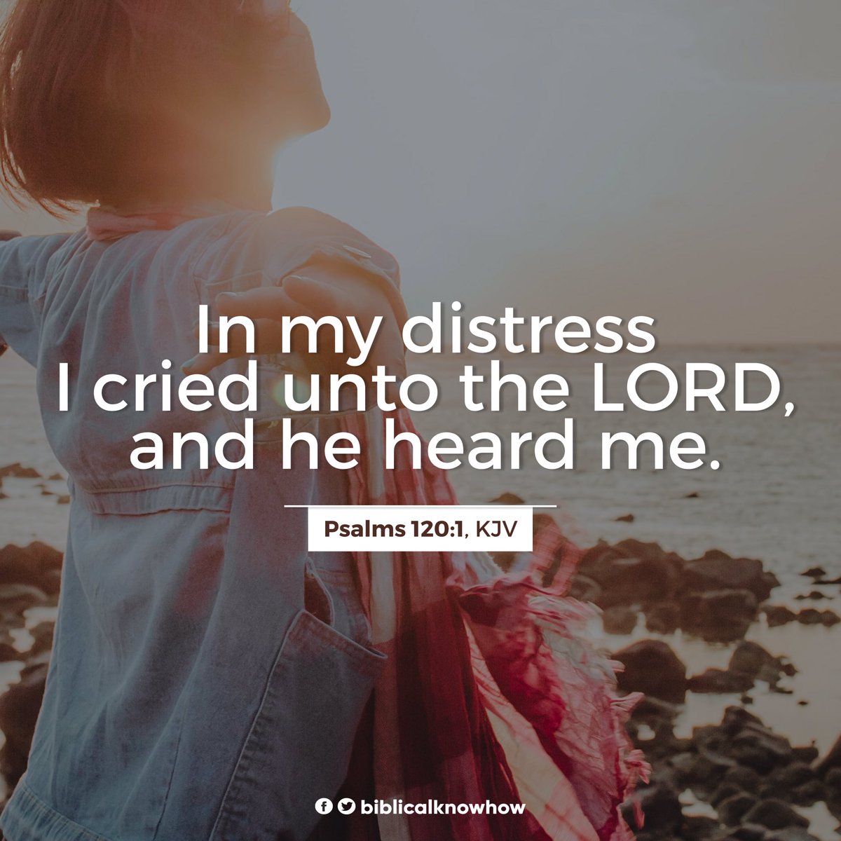 biblicalknowhow's tweet photo. @biblicalknowhow #VerseOfTheDay #Bible https://t.co/wP4Axqotv4
