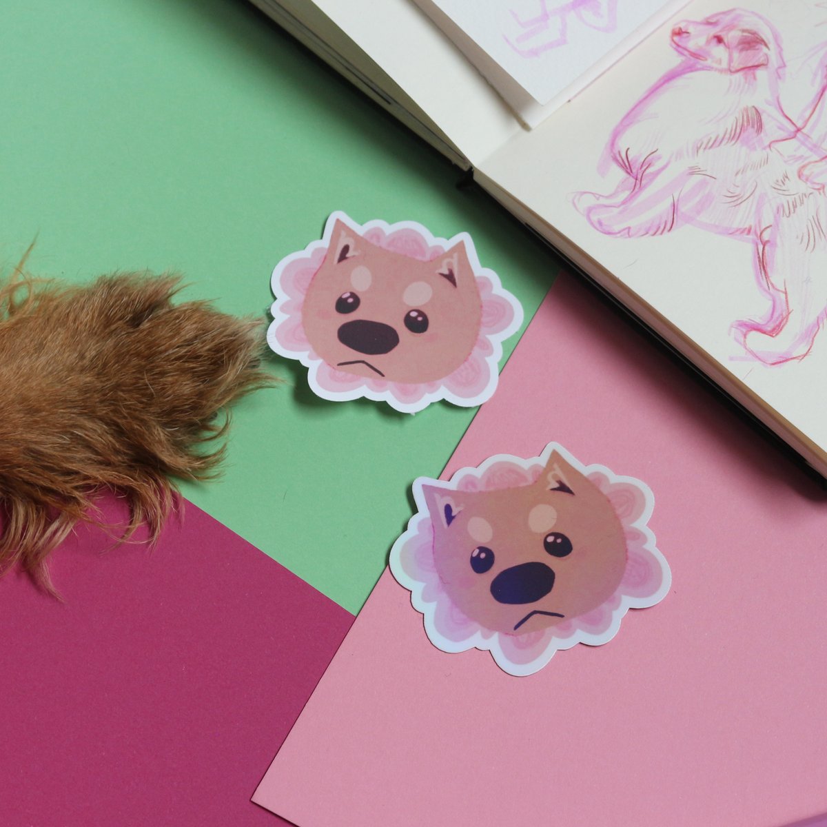 A lot has changed in two years 🐕