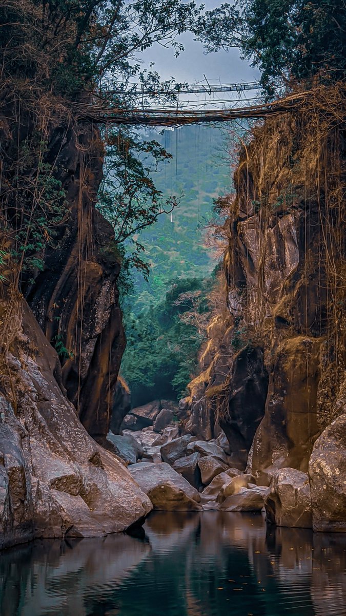 Wah Myor, located in Khatarshnong village, is home to one of the highest living root bridges in Meghalaya.
Photo Credit: Mewanpynbhalang Tham
.
.
.
.
#LivingRootBridges #MeghalayaRootBridges #NaturalWonders #GreenBridges #EcoTourism #SustainableTravel #BridgeBuilding