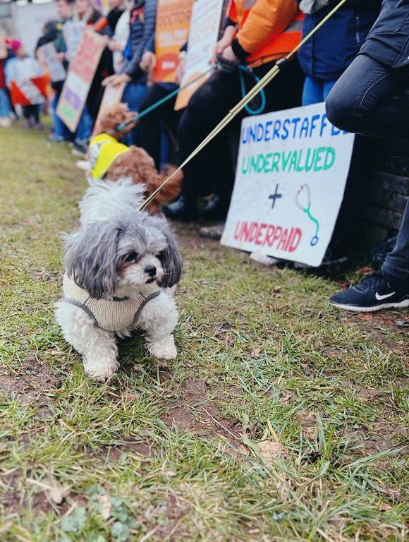 aliciaxwong's tweet image. Help us be the change in the world. 🤍We are asking for support to be the doctors we dreamed of being as kids.  We want to help you our patients! We give your our blood, sweat and tears.  @SteveBarclay @TheBMA @Doctors_Vote  @UHP_NHS @BMA_JuniorDocs #JuniorDoctorsStrikes