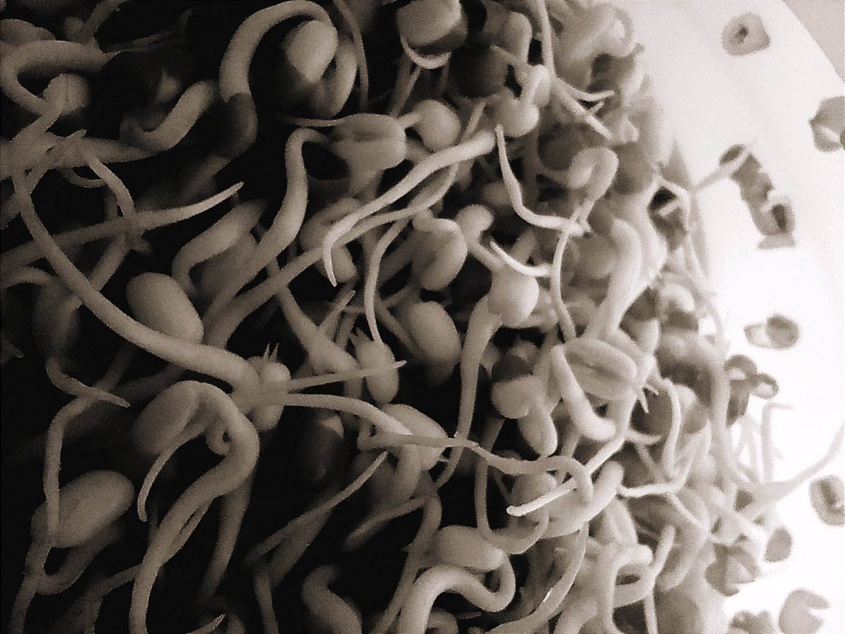 josencamino's tweet image. #photoLife